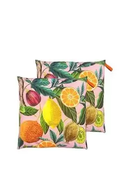 Citrus Water & Uv Resistant Outdoor Floor Cushion 2 Pack