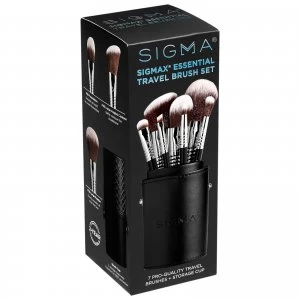 Sigmax Essential Travel Brush Set