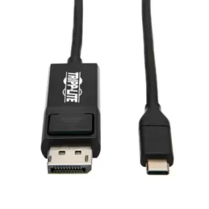 Usb-C To Displayport Adapter 3F13119