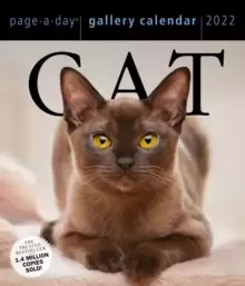 2022 Cat Gallery