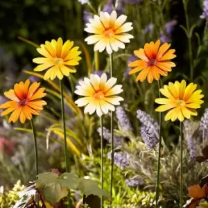 Garden Gear Metal Daisy Stake Pack Of 6 Yellow Orange White