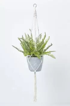 Green Fern Hanging Plant, 95 cm