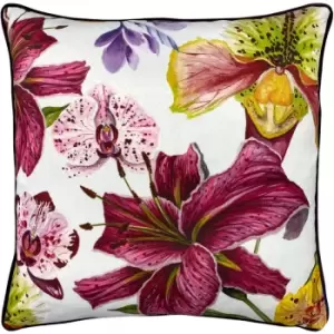 Paoletti Kala Floral Cushion Orchids - Orchids