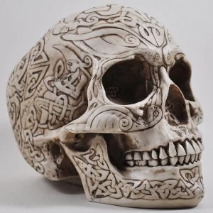 Celtic Skull Bone 15cm