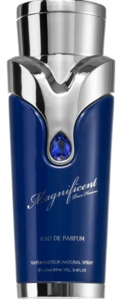 Armaf Magnificent Blue Pour Homme Eau de Parfum For Him 100ml