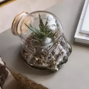 Original Stormtrooper Terrarium - Only at Menkind!