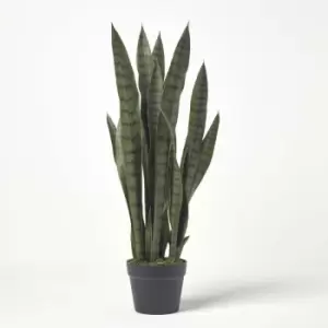 Green Snake Plant, 74cm Tall - Green - Homescapes