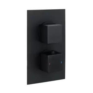 Zana Matt Black Dual Control Square Concealed Valve - 1 Outlet