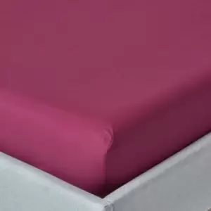 Plum Egyptian Cotton Fitted Sheet 200 Thread Count, Double - Plum - Plum - Homescapes