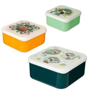 Set of 3 Lunch Boxes - Lemur Mob