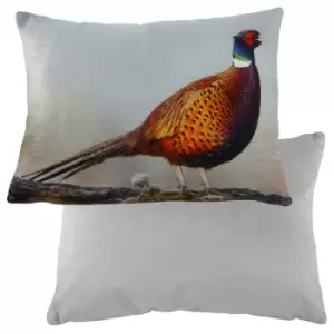 Pheasant Velvet Pheasant Cushion Multicolour