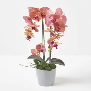 HOMESCAPES Coral Orchid 58cm Phalaenopsis in Ceramic Pot - Coral