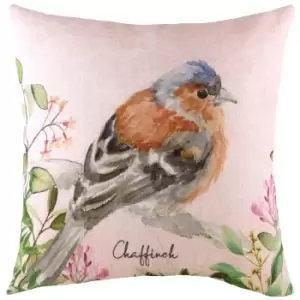 Evans Lichfield Chaffinch Cushion Cover (43cm x 43cm) (Multicoloured)