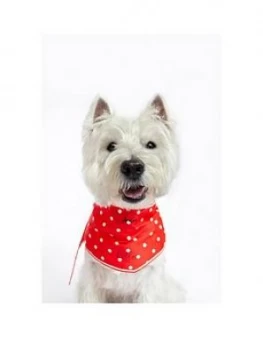 Joules Red Hello Polka Dot Neckerchief