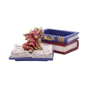 Dragonling Diaries Red Box