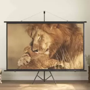 vidaXL 100" 16:9 Projection Projector Screen