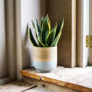 Ivyline Bamboo Grey Planter - D28Cm