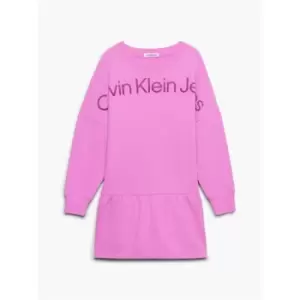 Calvin Klein Jeans Hero Logo Hwk Dress - Purple