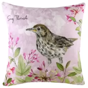 Evans Lichfield Song Thrush Cushion Cover (43cm x 43cm) (Multicoloured)