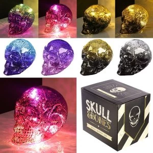 Small Two Tone Metallic Skull Decorative LED Light (1 Random Supplied)