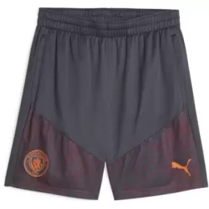 Puma Manchester City Training Shorts 2023 2024 Adults - Grey