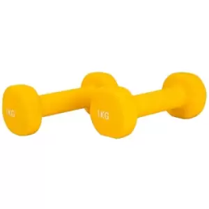 Neo Direct - 1KG Pair of Neoprene Dumbbells Weights - Solid Iron Construction