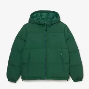 Lacoste Down Jacket, Green, Male, Jackets & Outerwear, BH3522-00-132