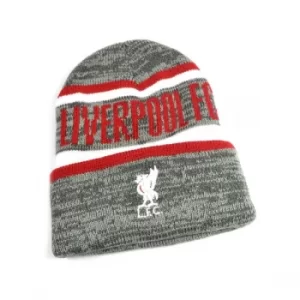 Liverpool Whitaker Grey Turn Up Hat