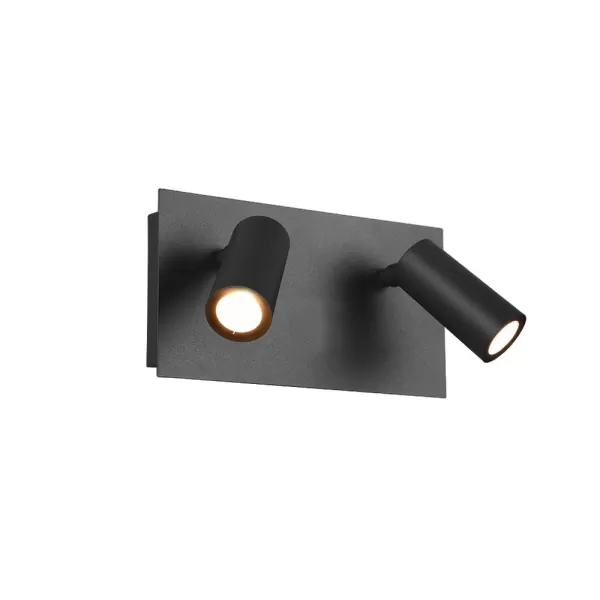 Tunga Modern 2 Light Outdoor Spotlight Anthracite 3000K IP54