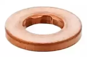 Injector Washer Seal Ring 456.810 by Elring