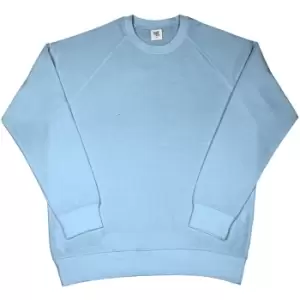 SG Mens Raglan Sleeve Crew Neck Sweatshirt (S) (Sky Blue)