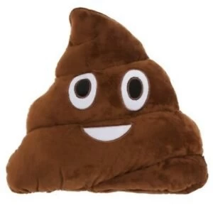 Poop Emotive Cushion