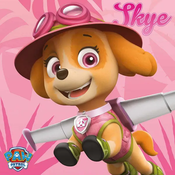 Paw Patrol (Skye) 40x40 Canvas DC95978