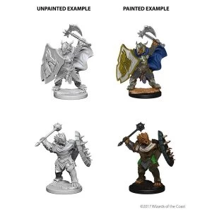 Nolzur's Marvelous Unpainted Minis: Dragonborn Male Paladin