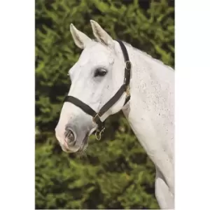 Kincade Deluxe Webbed Headcollar with Leather Crown - Black