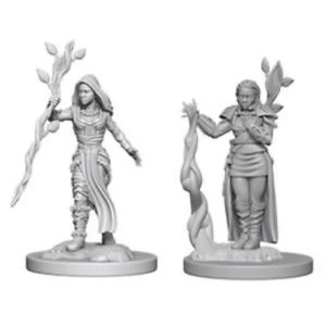 Dungeons & Dragons Nolzur's Marvelous Unpainted Miniatures Human Female Druid