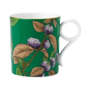 Wedgwood Tea garden green tea mint mug Green