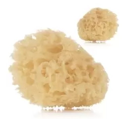 Natural Sponges (Twin Pack)