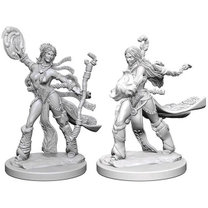 Pathfinder Deep Cuts Unpainted Miniatures (W1) Human Female Sorcerer