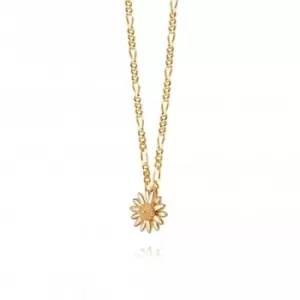 English Daisy 18ct Gold Plate Necklace N2002_GP