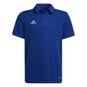 adidas ENT22 Polo Shirt Juniors - Blue