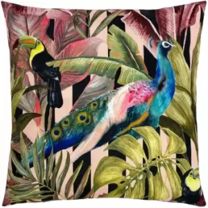 Evans Lichfield - Toucan And Peacock Print Outdoor Cushion Cover, Multi, 43 x 43 Cm