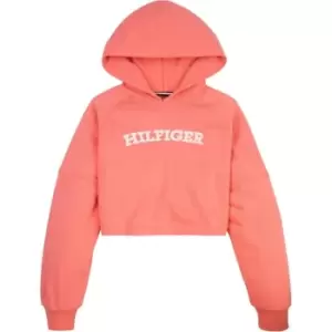 Tommy Hilfiger Monotype Hoodie - Red