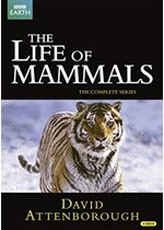 David Attenborough: The Life of Mammals - The Complete Series (2002)