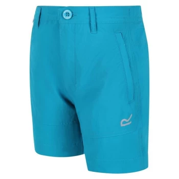 Regatta Junior Highton Shorts - Enamel