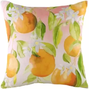 Fruit Oranges Printed Cushion Multicolour, Multicolour / 43 x 43cm / Polyester Filled