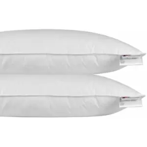 HOMESCAPES Duck Feather Euro Continental Pillow Pair - 40cm x 80cm (16x32) - White