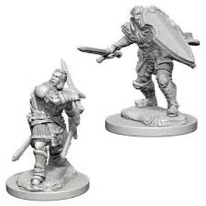 Dungeons & Dragons Nolzur's Marvelous Unpainted Miniatures (W3) Human Male Paladin