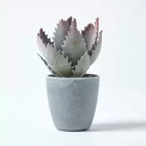 Homescapes - Purple and Green Aloe Vera Artificial Succulent in Grey Pot, 21cm Tall - Green & Purple