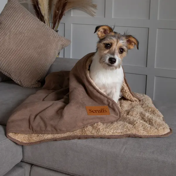 Scruffs Snuggle Blanket Brown